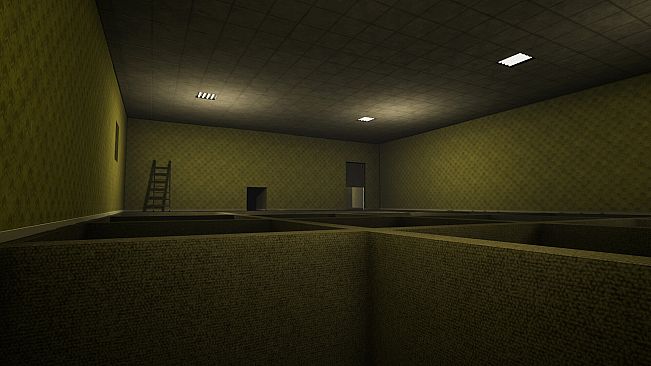 The Abandoned Levels