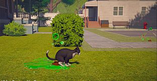 Whose Lawn Is It Anyway