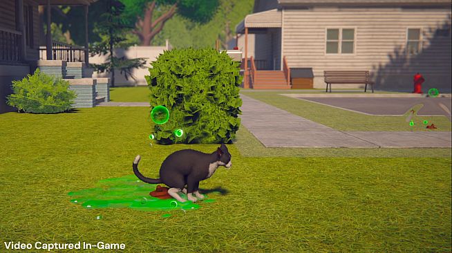 Whose Lawn Is It Anyway