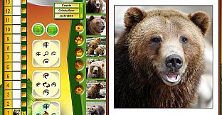 Wildlife Creative Studio