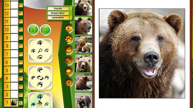 Wildlife Creative Studio