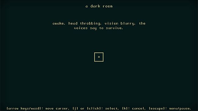 A Dark Room