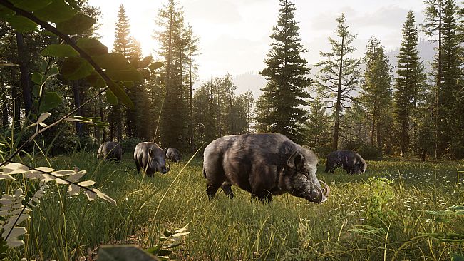 Way of the Hunter 2 - Deluxe Edition