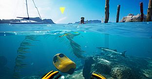 Subside - Makoa Shelf