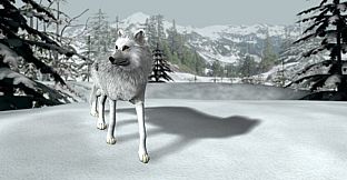 Nancy Drew: The White Wolf of Icicle Creek