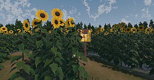 The Path of the Sunflower