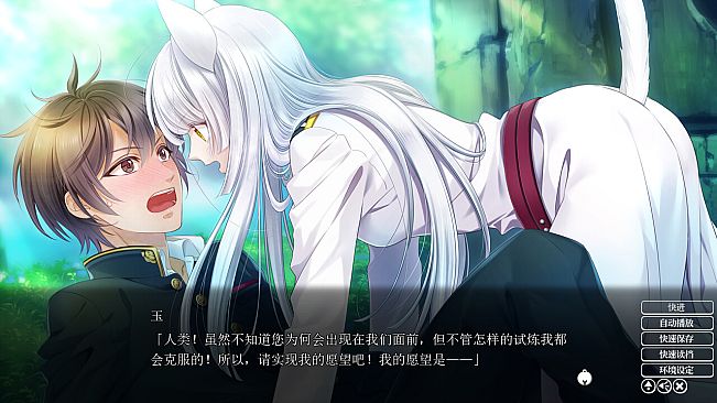 Puss in Combat Boots