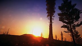 Hunt: Primal Reptiles