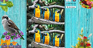 Hidden Pairs 3: Lovely Birds - Hidden Objects
