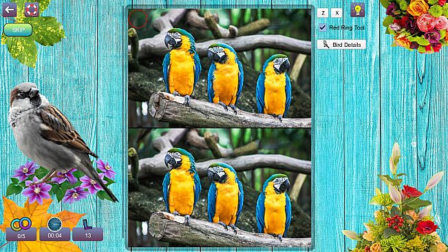 Hidden Pairs 3: Lovely Birds - Hidden Objects
