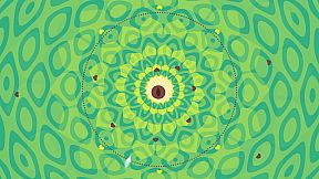 Zero Reflex : Black Eye Edition