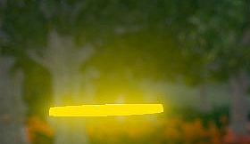 Hide and Seek - Halo