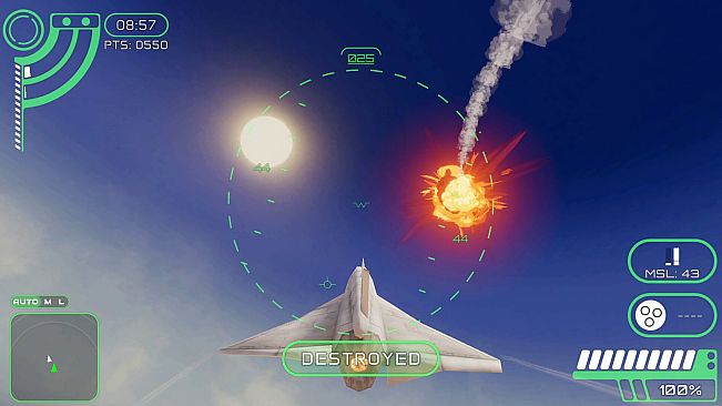 Carrier Wing Ypsilon