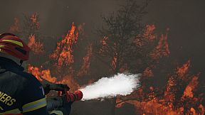 Rescue Ops: Wildfire