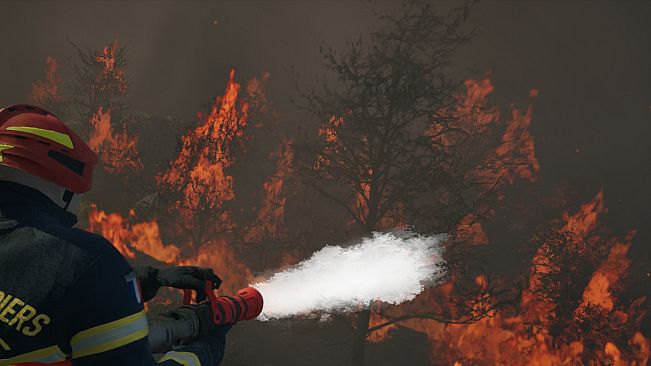 Rescue Ops: Wildfire