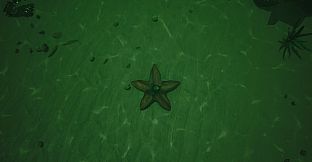 Starfish Simulator