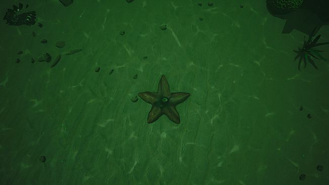 Starfish Simulator