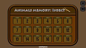 Animals Memory: Insect