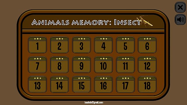 Animals Memory: Insect