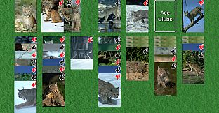 Wyvern Solitaire Deck Pack: Variety