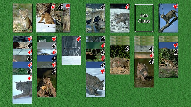 Wyvern Solitaire Deck Pack: Variety