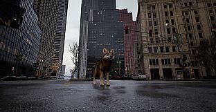 Pigeon Flight Simulator