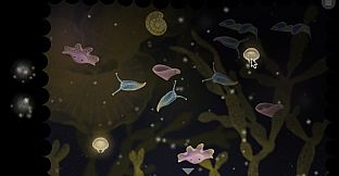 Jellies of the Deep