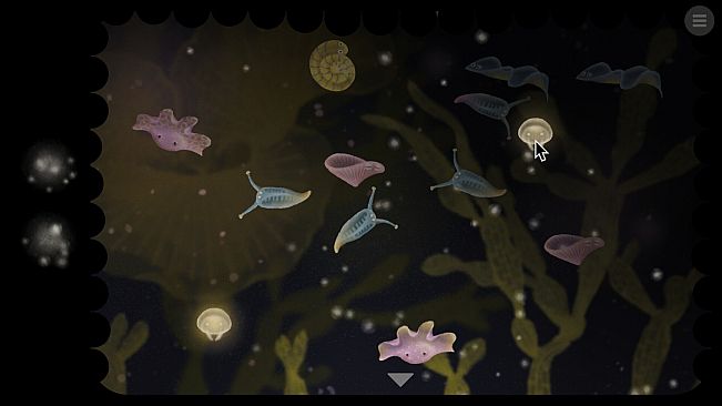 Jellies of the Deep