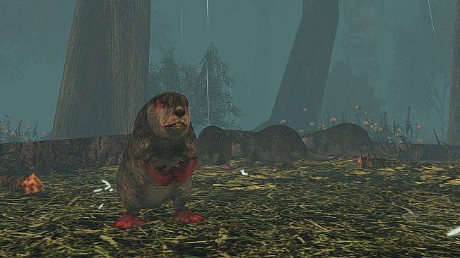 I Hear the Forest
