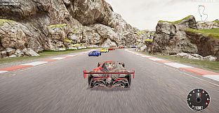 CarSim Racing