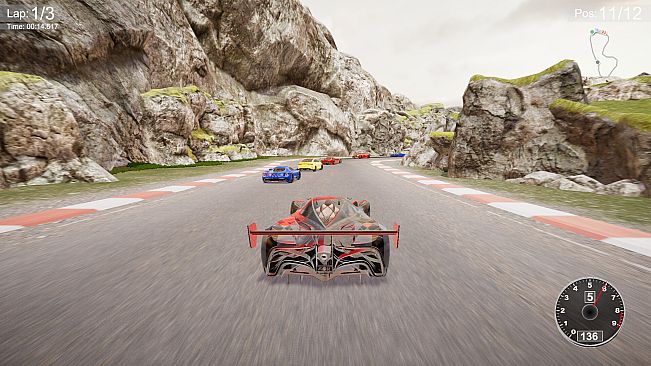 CarSim Racing