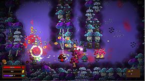 Whiskers and Wizardry