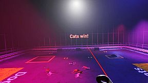 Claw Clash: Cat vs Dog Betting