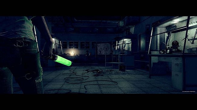 The Evil Within: The Consequence