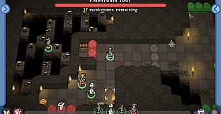 An Elaborate History of Chess