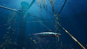 Freediving Hunter: Spearfishing the World