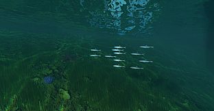 Dockside Dreams – Fish & Cook Simulator