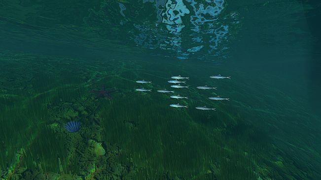 Dockside Dreams – Fish & Cook Simulator