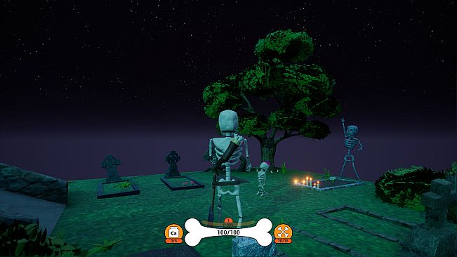 Bony Bones Adventures