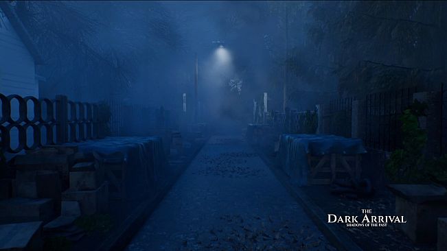 THE DARK ARRIVAL - SHADOWS OF THE PAST