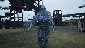 Blademistress Chronicles