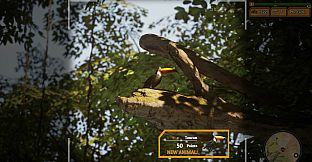Morels: The Hunt 2 Soundtrack