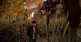 State of Decay - Breakdown