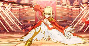 Fate/EXTRA Record