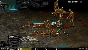 Crazy Flasher Series 2021