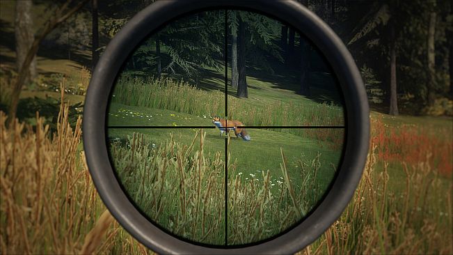 theHunter: Call of the Wild - Scopes and Crosshairs Pack