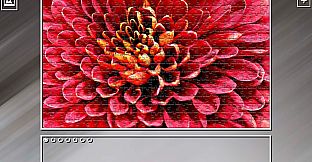 Super Jigsaw Puzzle: Generations - Red Things