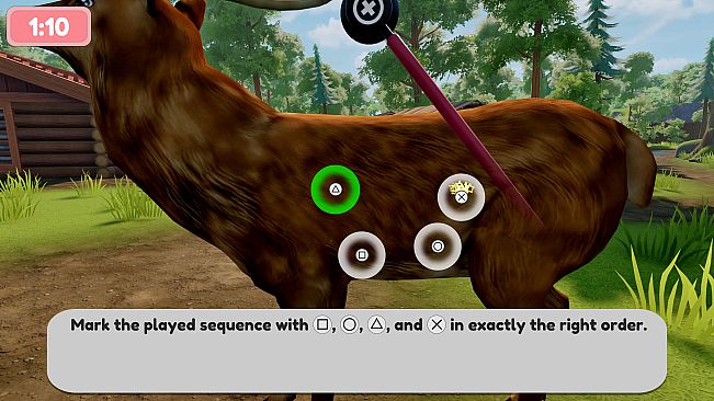 Sophia’s Animal Clinic - Mission Wildlife Park