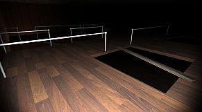 The Absolutely Hilarious Cat Game