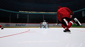 Goalie VR